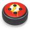 DC Comics The Flash Emblem Drip Amazon Echo Dot Skin