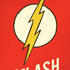 DC Comics The Flash Classic Emblem iPhone XS Pro Case
