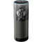 The Justice League (2017) Flash Poster Amazon Echo Skin