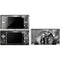 The Justice League (2017) Flash Poster DS Lite Skin