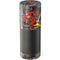 DC Comics The Flash Vintage Action pose pattern Amazon Echo Skin