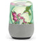 Amy Brown Flirting Fairy and Hummingbird Google Home Skin