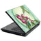 Amy Brown Flirting Fairy and Hummingbird Lenovo T420 Skin