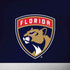 NHL Florida Panthers Alternate Jersey iPhone X Skin