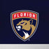 NHL Florida Panthers Alternate Jersey iPhone XR Skin