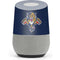 NHL Florida Panthers Distressed Google Home Skin