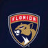 NHL Florida Panthers Distressed Moto G6 Skin