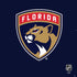 NHL Florida Panthers Distressed PS4 Slim Skin