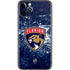 NHL Florida Panthers Frozen iPhone 11 Pro Skin