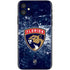 NHL Florida Panthers Frozen iPhone 11 Skin