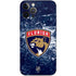 NHL Florida Panthers Frozen iPhone 12 Pro Max Skin