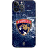 NHL Florida Panthers Frozen iPhone 13 Pro Max Skin