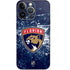 NHL Florida Panthers Frozen iPhone 13 Pro Skin