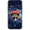 NHL Florida Panthers Frozen iPhone X Skin