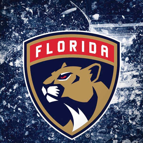 NHL Florida Panthers Frozen iPhone X Skin