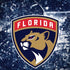 NHL Florida Panthers Frozen iPhone X Skin