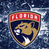 NHL Florida Panthers Frozen iPhone XR Skin
