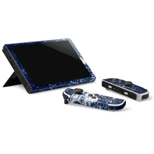 NHL Florida Panthers Frozen Nintendo Switch OLED (2021) Skin