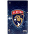 NHL Florida Panthers Frozen PS5 Slim Disk Bundle Skin