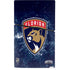 NHL Florida Panthers Frozen PS5 Slim Digital Edition Console Skin