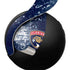 NHL Florida Panthers Frozen PULSE 3D Wireless Headset for PS5 Skin