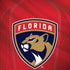 NHL Florida Panthers Jersey Moto G6 Skin