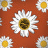 Flower Power Legion Y720 Skin