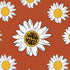 Flower Power PS4 Slim Skin