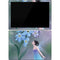 Rachel Anderson Forget Me Not Surface Pro 7 Skin