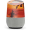Four AH-64 Apache Helicopters Google Home Skin