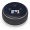 France Soccer Flag Amazon Echo Dot Skin