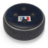 France Soccer Flag Amazon Echo Dot Skin