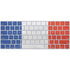 French Flag Distressed Magic Keyboard Skin