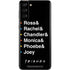 Warner Bros FRIENDS Crew Galaxy S21 Plus 5G Skin