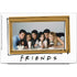 Warner Bros FRIENDS Milkshakes Dell Vostro Skin