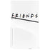 Warner Bros FRIENDS PS5 Slim Disk Console Skin