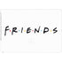 Warner Bros FRIENDS Surface Laptop Studio Skin