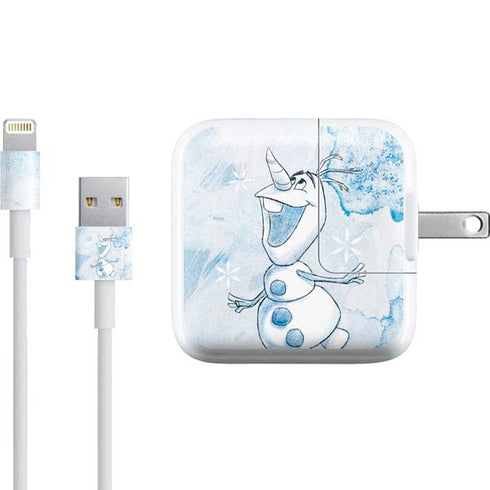 Disney Frozen Frozen Olaf Art iPad Charger (10W USB) Skin