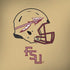 Florida State University FSU Helmet Amazon Echo Skin
