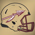 Florida State University FSU Helmet Apple MacBook Pro 15-inch Skin
