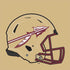 Florida State University FSU Helmet Otterbox Commuter Galaxy Skin