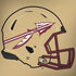 Florida State University FSU Helmet PlayStation 4 Gold Wireless Headset Skin