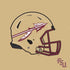 FSU Helmet PS4 Slim Skin