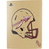 Florida State University FSU Helmet PS5 Digital Edition Bundle Skin