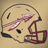 Florida State University FSU Helmet HP Spectre Skin