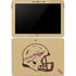 FSU Helmet Surface Go Skin