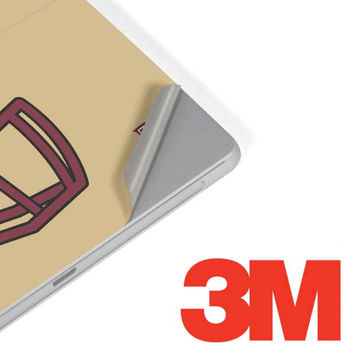 FSU Helmet Surface Go Skin