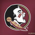 Florida State FSU Seminoles Dell Alienware Skin