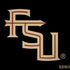 Florida State FSU Seminoles Black Dell Alienware Skin