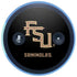 Florida State FSU Seminoles Black Amazon Echo Skin